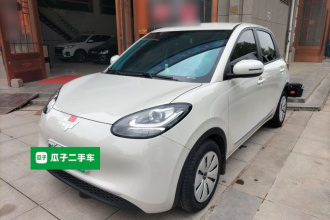 五菱汽车 五菱缤果 2023款 203km 轻享款