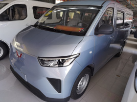 五菱汽车 五菱扬光 2024款 300km 舒适型客车版 75kW