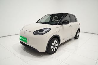 五菱汽车 五菱缤果 2024款 333km 悦享款