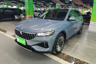 岚图汽车 岚图FREE 2021款 四驱标准增程专属豪华套装