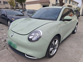 欧拉好猫 2023款 401km标准续航 尊贵型 磷酸铁锂