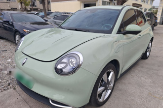 欧拉好猫 2023款 401km标准续航 尊贵型 磷酸铁锂