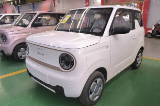 吉利银河 2024款 熊猫mini 200km 耐力熊