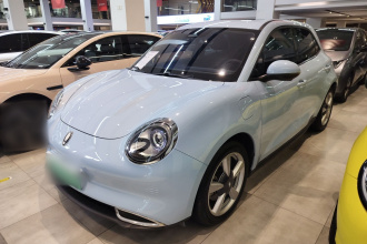 欧拉好猫 2021款 400km标准续航 维纳斯版 磷酸铁锂