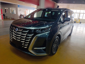 腾势D9 2025款 DM-i 智驾版 1020 四驱旗舰型