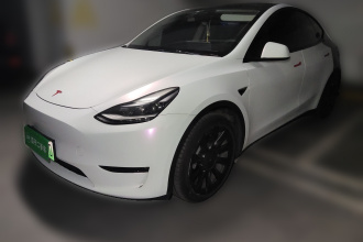 特斯拉 Model Y 2021款 标准续航后驱版
