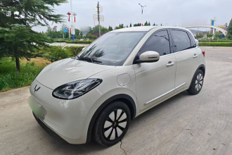 五菱汽车 五菱缤果 2025款 333km 悦享款