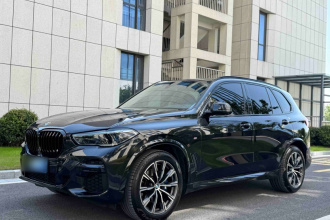 宝马X5(进口) 2022款 xDrive40i M运动套装
