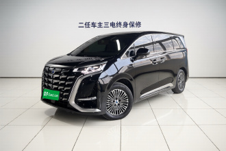 腾势D9 2026款 第二代 EV 两驱闪充尊贵型
