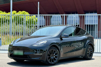 特斯拉 Model Y 2021款 长续航全轮驱动版 3D7