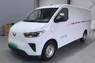 五菱汽车 五菱扬光 2024款 300km 实用型封窗版 60kW