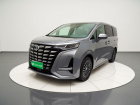 腾势D9 2022款 DM-i 1040 尊贵型