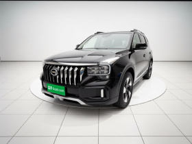 广汽传祺 传祺GS8 2020款 GS8S 390T 两驱尊贵版