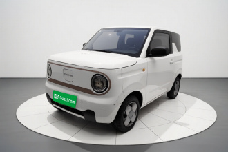 吉利银河 2023款 熊猫mini 200km 耐力熊
