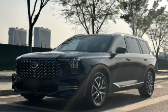 广汽传祺 传祺GS8 2024款 领航系列 2.0TGDI 两驱豪华智联版 7座