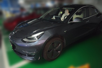 特斯拉 Model 3(进口) 2019款 长续航后驱版