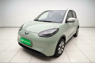 五菱汽车 五菱缤果 2023款 410km 灵犀尊享款