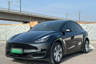 特斯拉 Model Y 2021款 标准续航后驱版