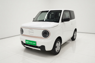吉利银河 2024款 熊猫mini 200km 龙腾PRO版