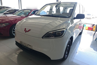 五菱汽车 五菱宏光新能源 2024款 纯电版 300KM 标准型