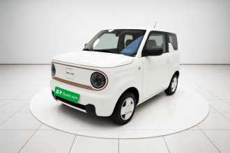 吉利银河 2024款 熊猫mini 200km 龙腾PRO版