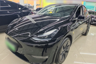 特斯拉 Model Y 2023款 长续航全轮驱动版