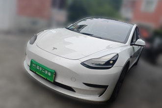特斯拉 Model 3 2021款 标准续航后驱升级版