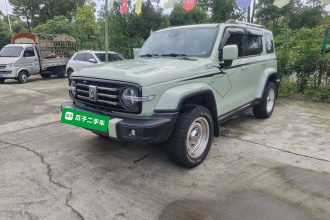 坦克300 2021款 城市版 2.0T 很有型