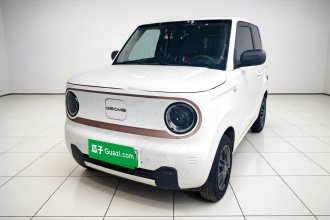 吉利银河 2024款 熊猫mini 200km 耐力熊