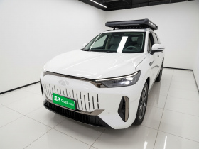 奇瑞 风云T10 2024款 210 奢享版