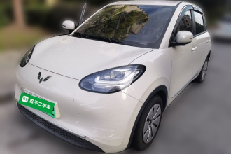 五菱汽车 五菱缤果 2023款 203km 轻享款