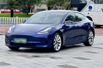 特斯拉 Model 3 2020款 改款 标准续航后驱升级版