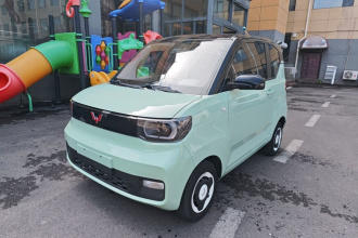 五菱汽车 宏光MINIEV 2021款 马卡龙时尚款 磷酸铁锂