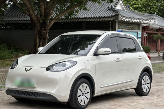 五菱汽车 五菱缤果 2023款 333km 快享款