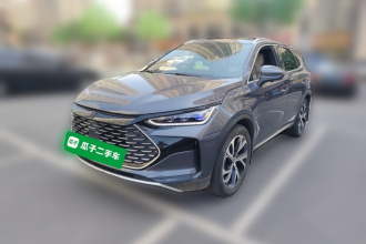 比亚迪 唐新能源 2025款 DM-i 115KM 尊贵型