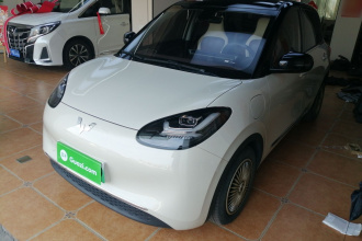 五菱汽车 五菱缤果 2023款 333km 悦享+款