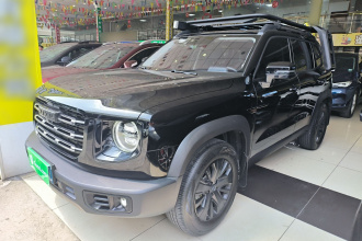 哈弗大狗 2022款 1.5T DCT两驱拉布拉多版