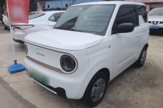 吉利银河 2023款 熊猫mini 200km 耐力熊