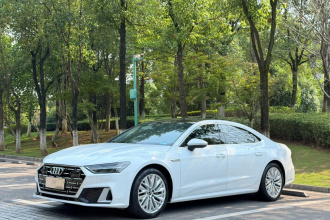 奥迪A7L 2024款 45TFSI S-line 筑梦型 流晶套装
