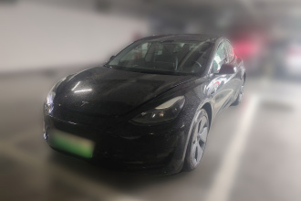 特斯拉 Model 3 2021款 标准续航后驱升级版 3D6