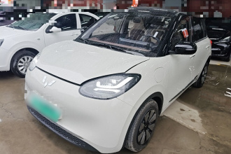 五菱汽车 五菱缤果 2023款 333km 悦享+款