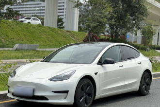 特斯拉 Model 3 2022款 后轮驱动版