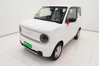 吉利银河 2024款 熊猫mini 200km 耐力熊