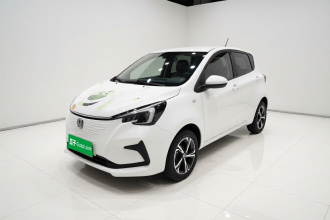 长安 奔奔E-Star 2020款 心动版 三元锂