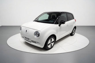 欧拉黑猫 2021款 301km 基础型