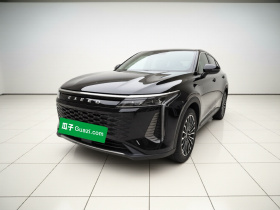 星途 瑶光C-DM 2024款 1.5T 超长续航Pro