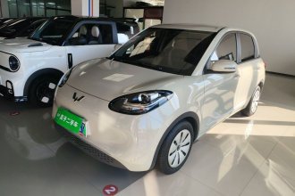 五菱汽车 五菱缤果 2023款 203km 轻享款