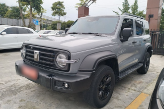 坦克300 2024款 2.0T 挑战者