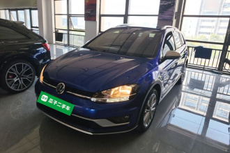 大众 高尔夫(进口) 2019款 1.8TSI 旅行版