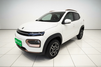 东风纳米EX1 2023款 PRO 轻风版闪电型